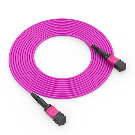 MTP?/MPO Master Fiber Cabling